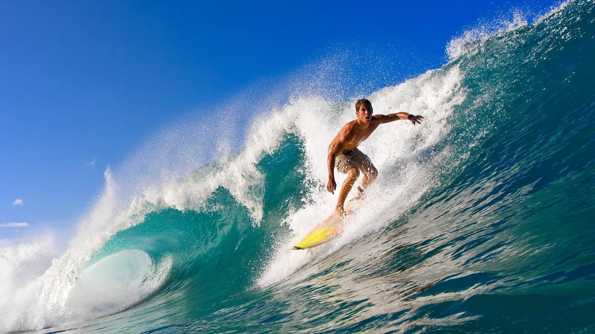 美洲杯技术狂飙：比赛中的精彩花絮，美洲杯视频回顾