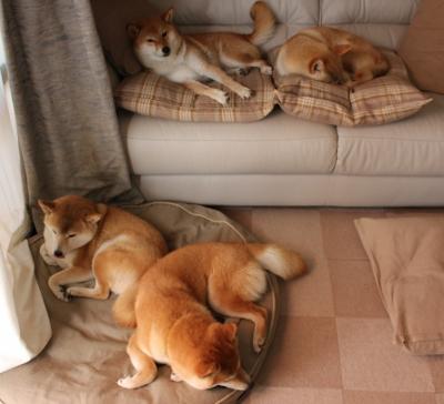 九游官网pc-2014年西部决赛第七场：勇士在客场对阵马刺，库里砍下25分，关键时刻投中决定胜负的三分，带队晋级。